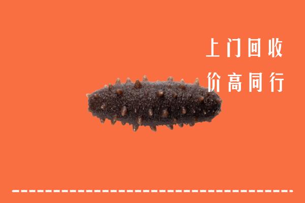 祁门县回收海参