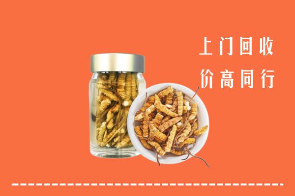 祁门县回收冬虫夏草